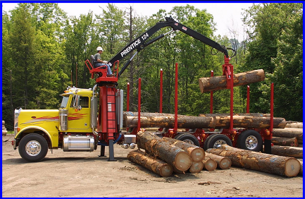 Forestry Logging Articulating Crane